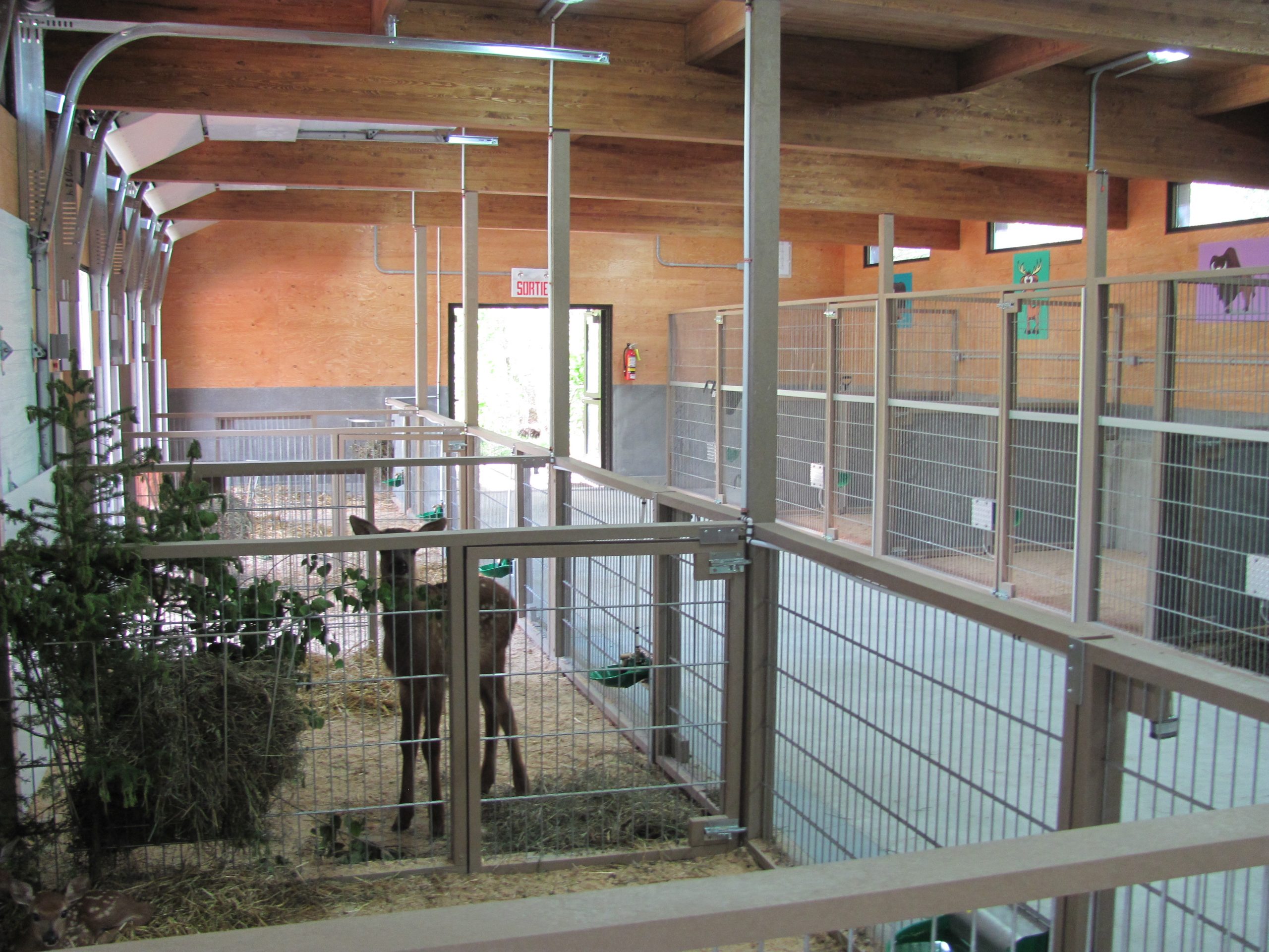 'Construction d’une nouvelle pouponnière et mini salle de chirurgie au Zoo de Saint-­Félicien Cecobois 