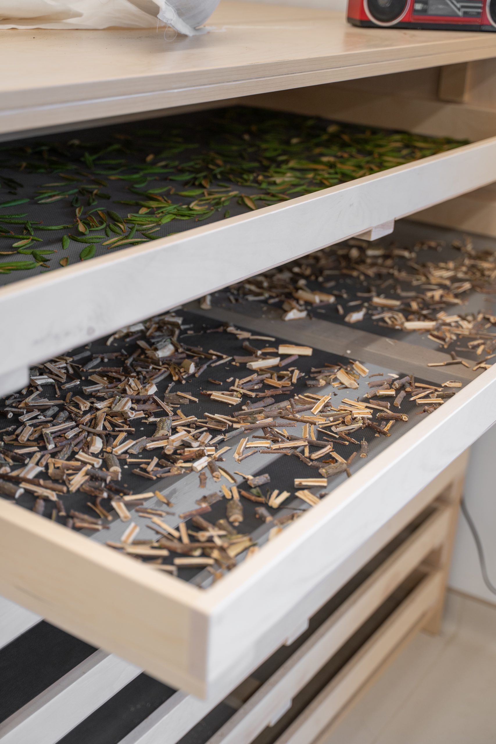 'Pavillon Eshikatiut Tshukuminu Innu-Natukuna Cecobois 